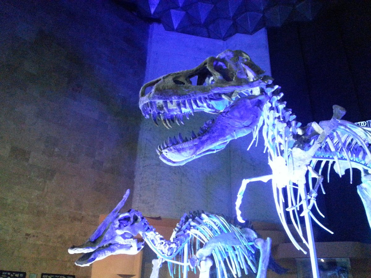 Natural History Museum